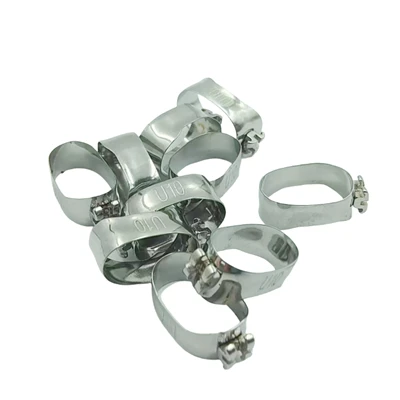 Bandes bicúspides